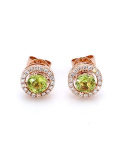 CE0053