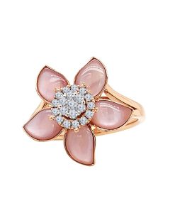 CHR0022