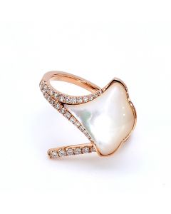 CHR0036
