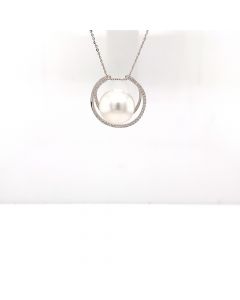 DP2979