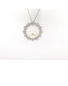DP3049