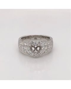 MSR0069-1