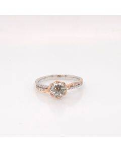 MSR0087