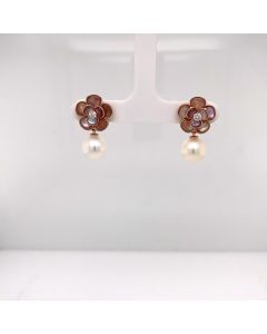PE0003