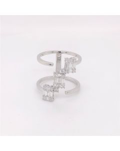 SDR0243